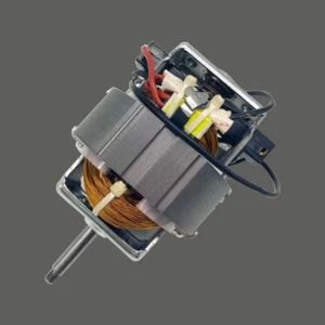 120V Juicer Motor