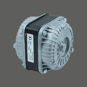 Auto Fan Motor