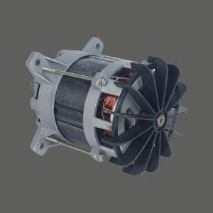 Electric Tiller Motor