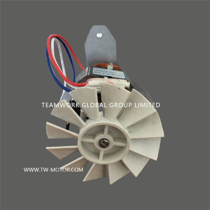Household Hairdryer Motor
