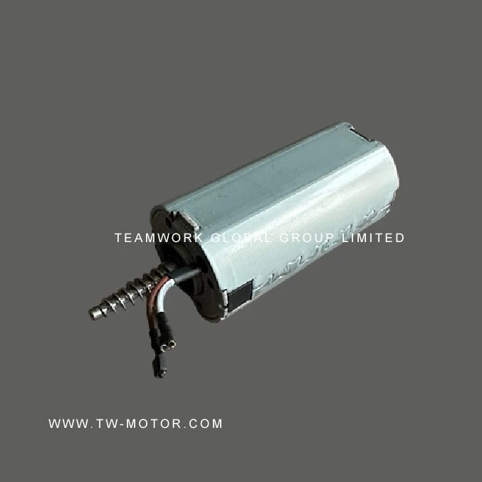 Actuator Motor