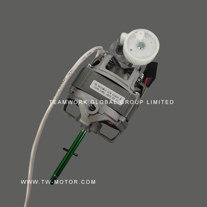 Portable Standing Fan Motor