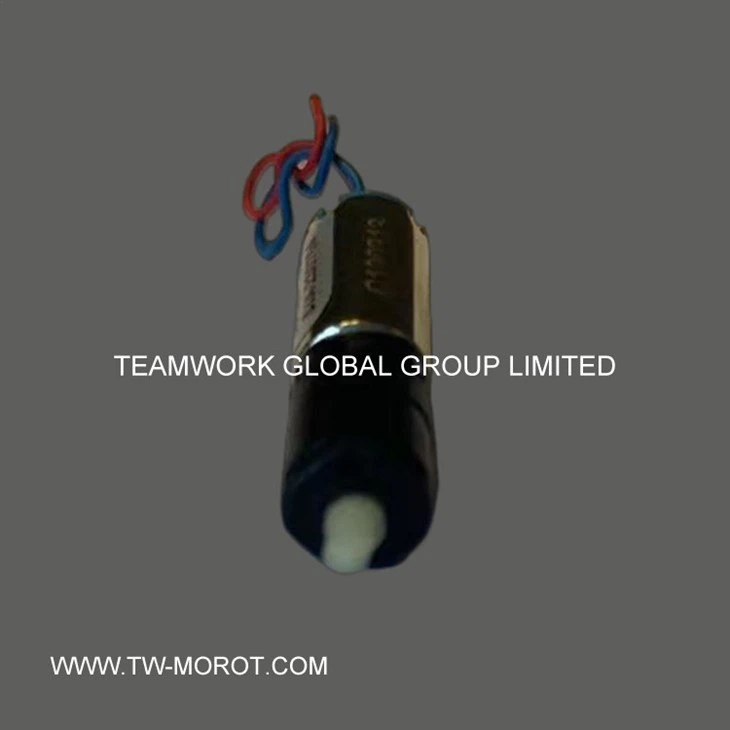 Toy Motor